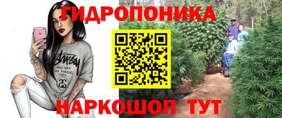 прущие крисы Изобильный