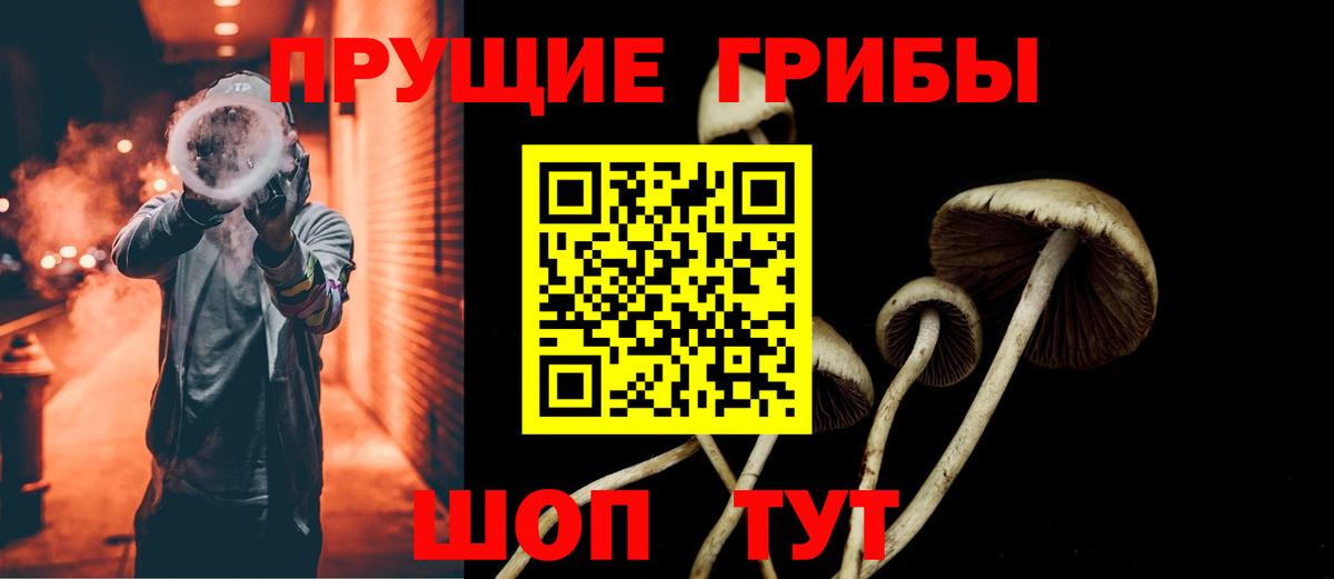 Валуйки  Псилоцибиновые грибы Psilocybe  Псилоцибиновые грибы Cubensis  Вход с VPN 